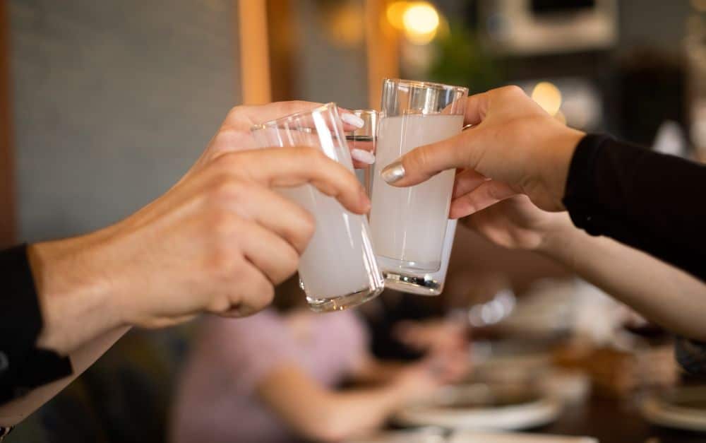 Türkische Trinkkultur: Genussvoll Raki trinken